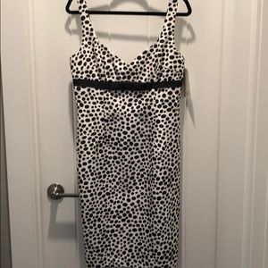 David Meister Dress